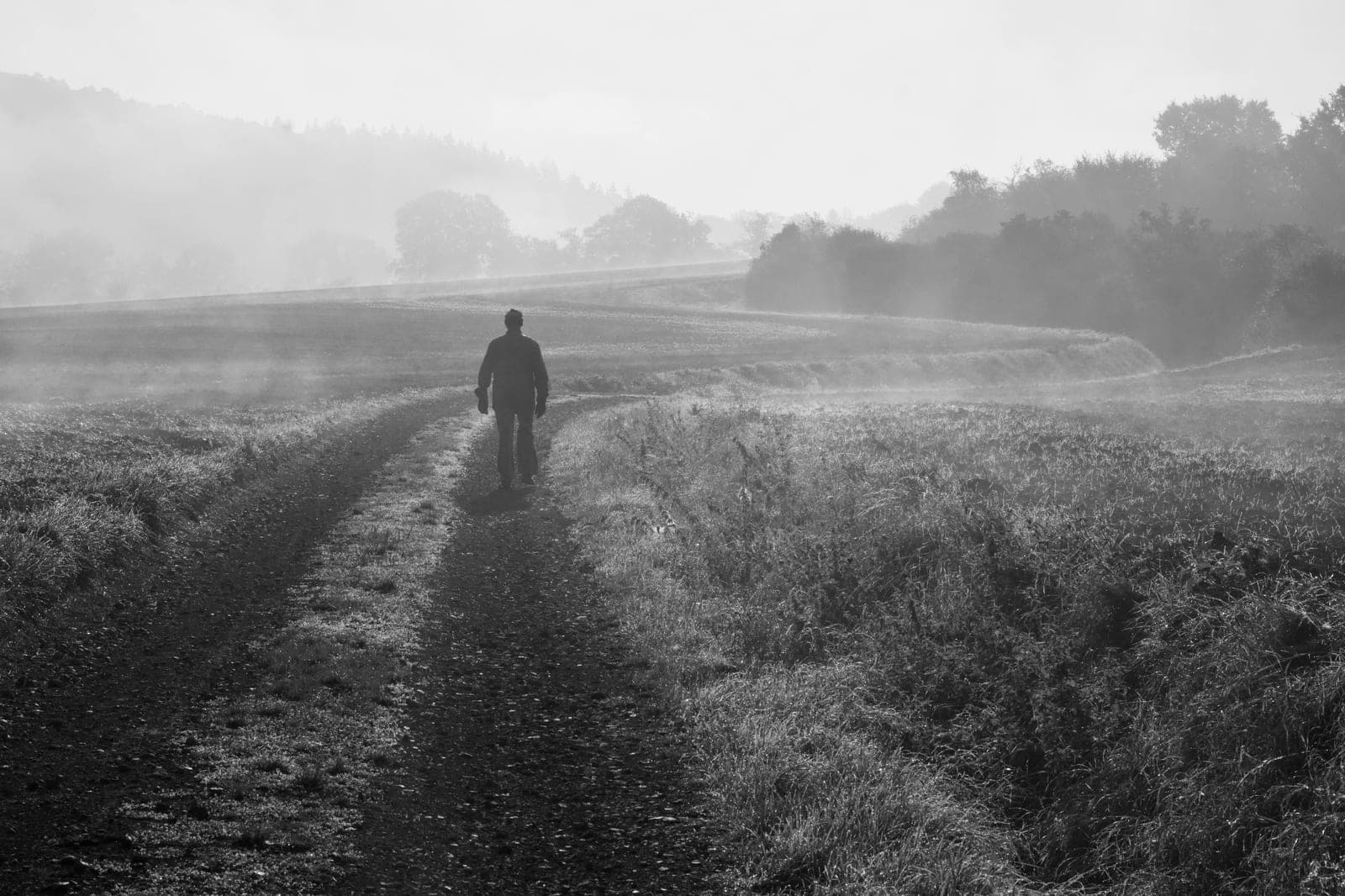 A solitary figure walking a long path through fog